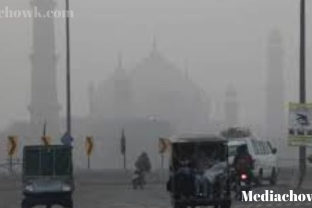 Punjab Govt Smog Holiday Notification